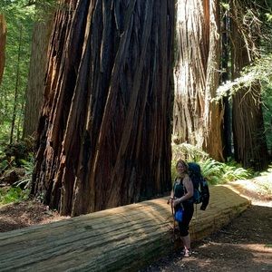 Meet your Posher, Charlene